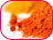 Epices et Condiments Bio