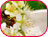 Cosm�tiques Bio