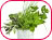 Plantes M�dicinales S�ch�es Bio
