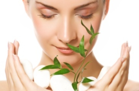 SANTE PAR LA NATURE ET LES PLANTES
