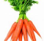 Photo huile essentielle de carotte - la carotte et le lÃ©gume