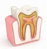 image du xylitol bio qui aide à lutter contre les caries