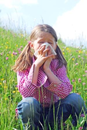 Allergies : retour du pollen