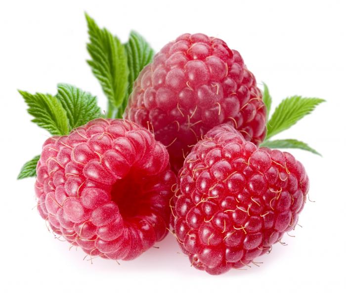 Framboises bio