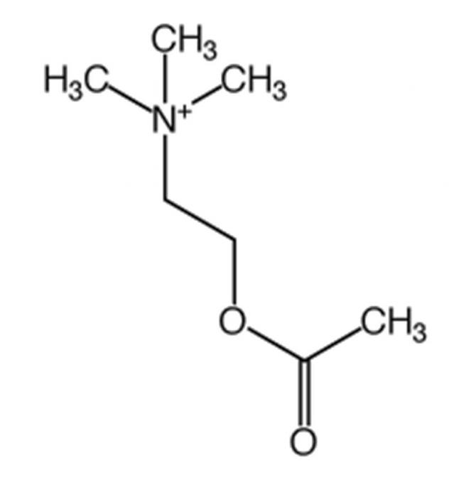 acetylcholine formule chimique