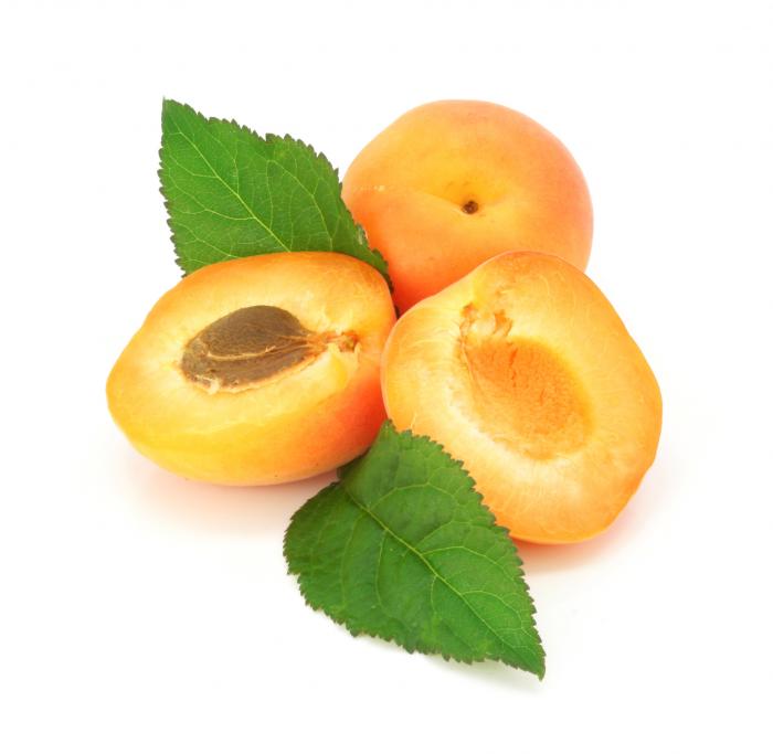 Abricot Bio Prunus Armeniaca Abricotier Fruit A Noyau Abricot Bio Prunus Armeniaca Abricotier Fruit A Noyau