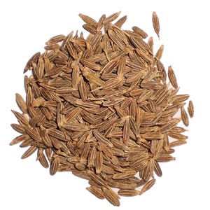 cumin bio