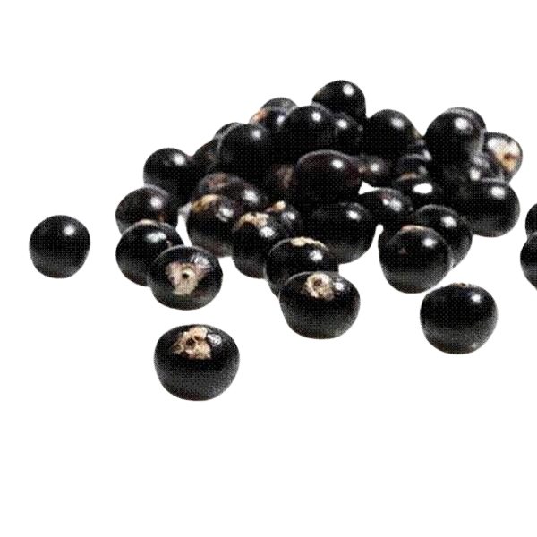 ACAI* BIO - PILULIER DE 120 GELULES 