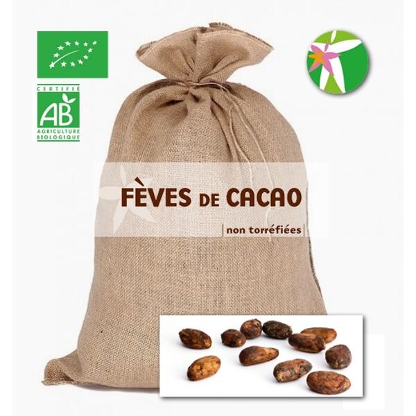 Vrac fèves de cacao non torréfiées bio