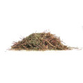 THYM (Thymus vulgaris) BIO* 1KG