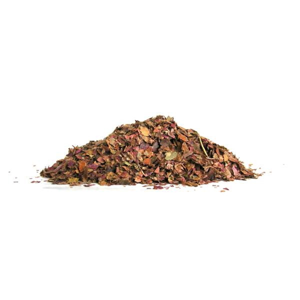 VIGNE ROUGE (Vitis vinefera) BIO* 1KG