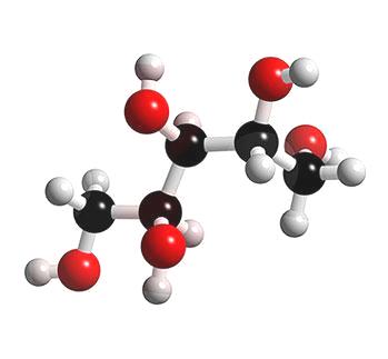 xylitol naturel de bouleau : molécule