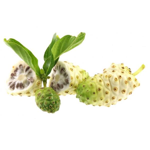 noni bio