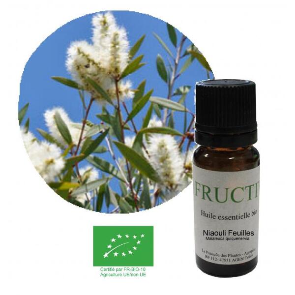 Niaouli bio - Malaleuca quinquenervia - huile essentielle Niaouli bio - Malaleuca quinquenervia - huile essentielle