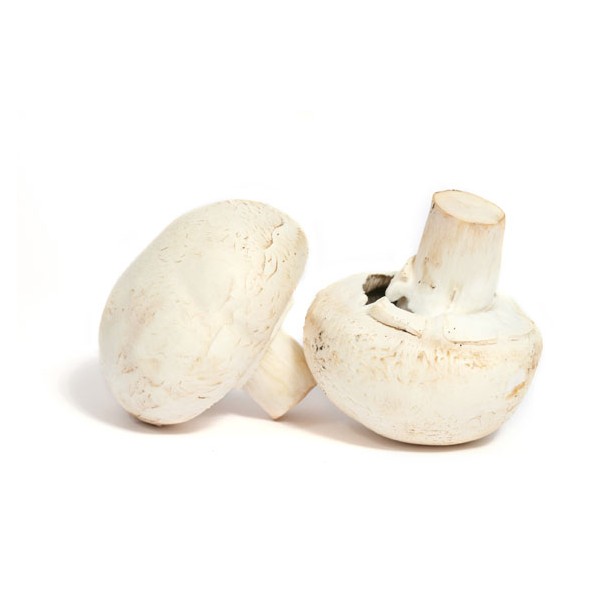 champignon de paris bio