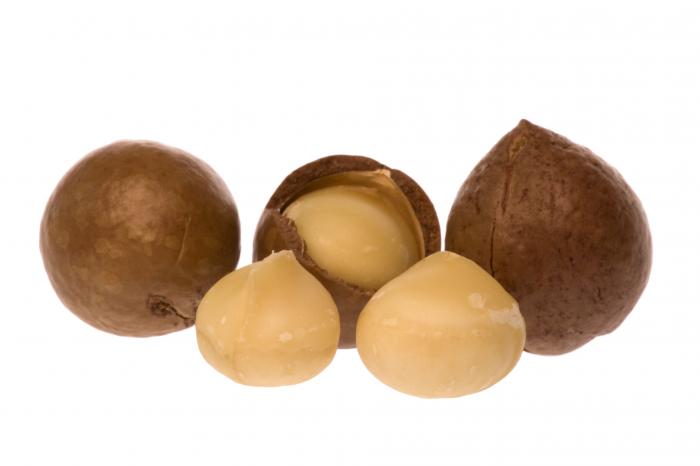 noix de macadamia bio