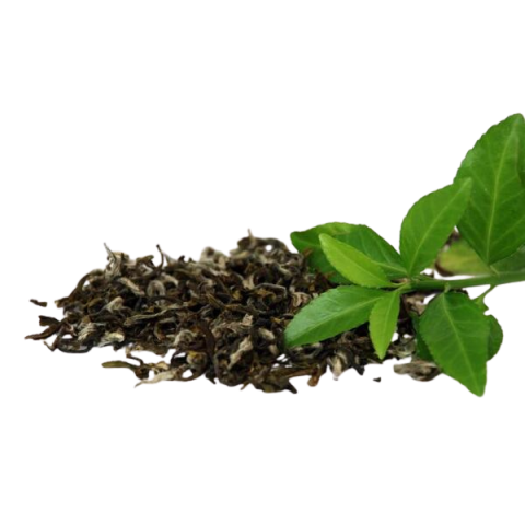 THE VERT D\'EXCEPTION FEUILLES BIO 100G