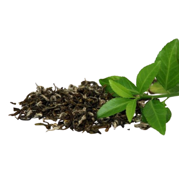 THE VERT D\'EXCEPTION FEUILLES BIO 100G