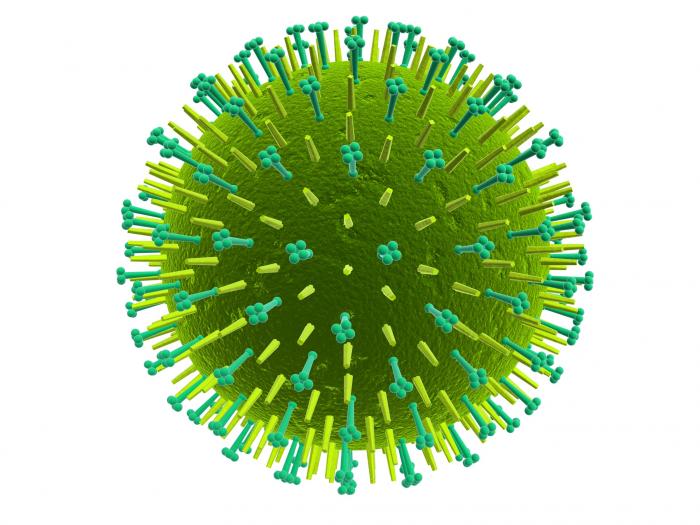 Virus mutant H1N1