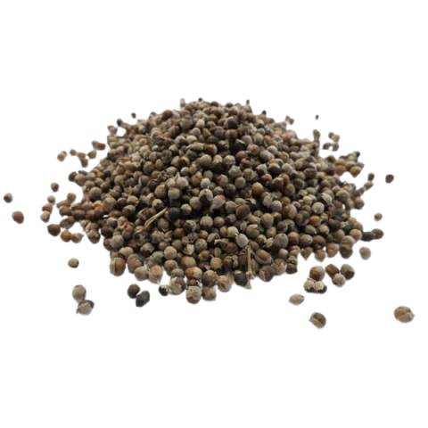 GATTILIER BIO* 100G