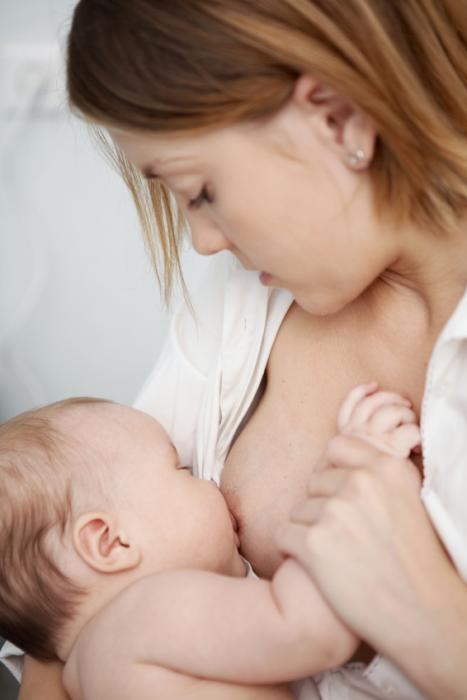 Mammite Mastite Inflammation De La Mamelle Fibrokystique Mammite Mastite Inflammation De La Mamelle Fibrokystique