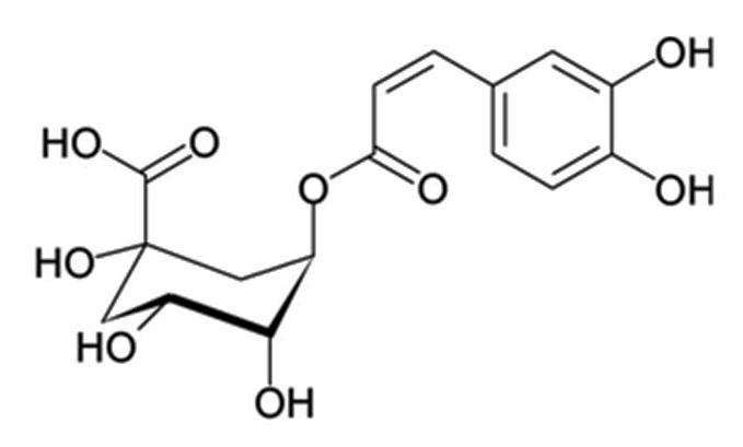 Acide chlorogÃ©nique