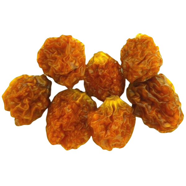 PHYSALIS (AGUAYMANTO) SECHES VRAC BIO* AU KG