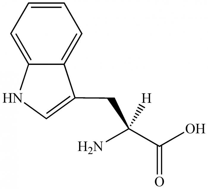 Formule chimique de l'acide aminÃ©
