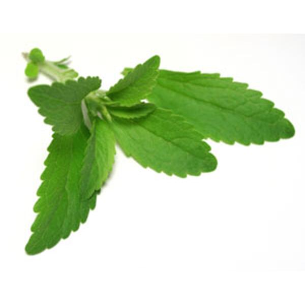 feuilles de stévia bio